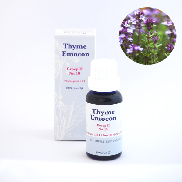10. Thyme Emocon